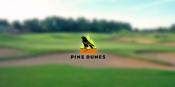 Pine Dunes logo / photo overlay